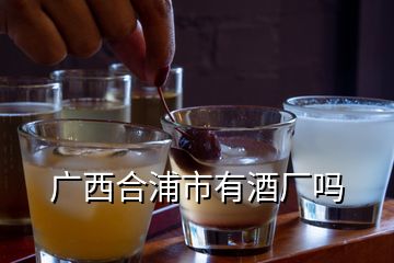 广西合浦市有酒厂吗