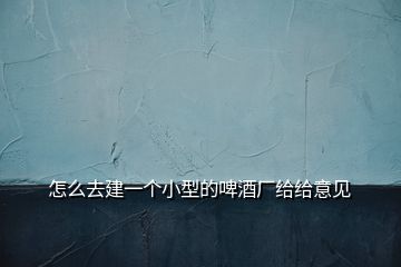 怎么去建一个小型的啤酒厂给给意见