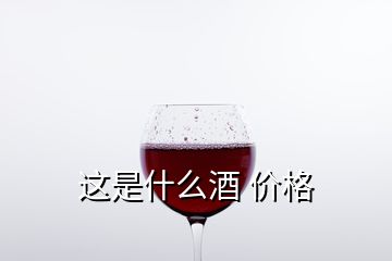 这是什么酒 价格