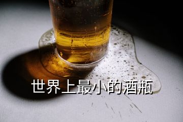 世界上最小的酒瓶