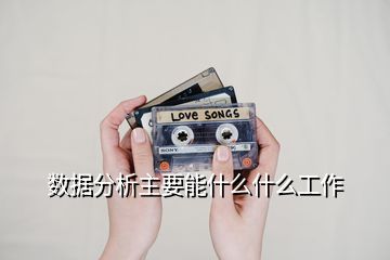 数据分析主要能什么什么工作