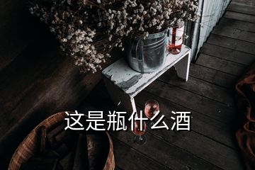 这是瓶什么酒