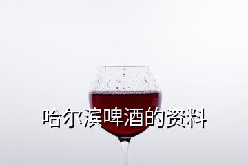 哈尔滨啤酒的资料