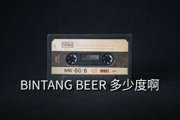 BINTANG BEER 多少度啊