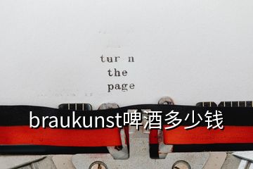 braukunst啤酒多少钱