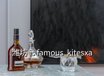 潍坊 is famous  kitesxa