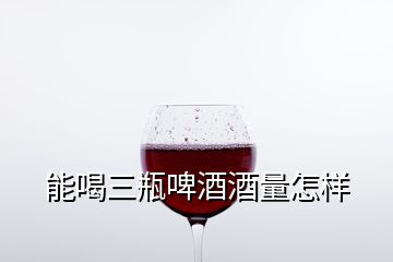 能喝三瓶啤酒酒量怎样