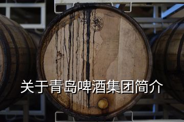 关于青岛啤酒集团简介