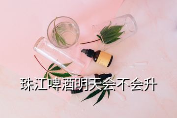 珠江啤酒明天会不会升