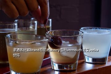 求酒名比如brand白兰地sherry雪利vermouth苦艾votka伏特