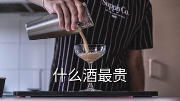 什么酒最贵