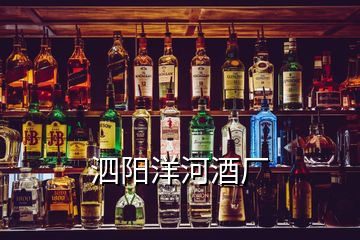 泗阳洋河酒厂