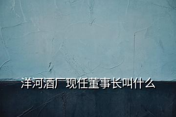 洋河酒厂现任董事长叫什么