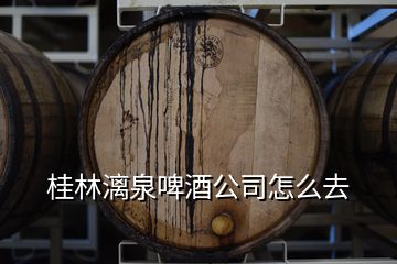 桂林漓泉啤酒公司怎么去