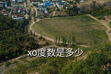 xo度数是多少