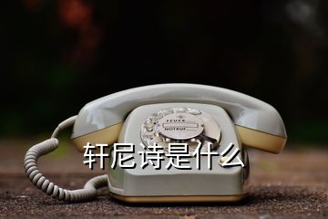 轩尼诗是什么