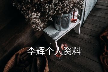 李辉个人资料