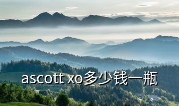 ascott xo多少钱一瓶