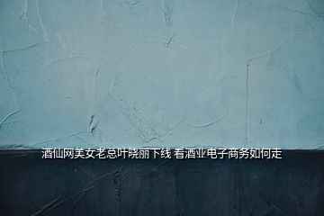 酒仙网美女老总叶晓丽下线 看酒业电子商务如何走