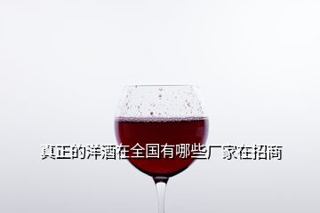 真正的洋酒在全国有哪些厂家在招商