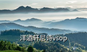 洋酒轩尼诗vsop