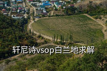 轩尼诗vsop白兰地求解