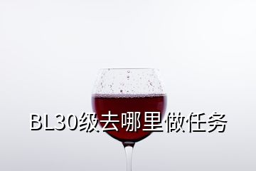 BL30级去哪里做任务