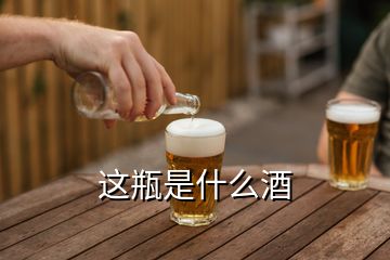 这瓶是什么酒