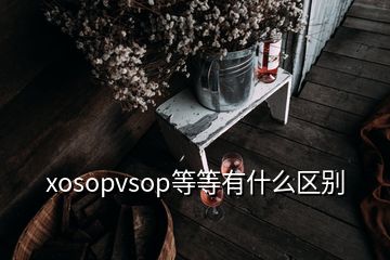 xosopvsop等等有什么区别