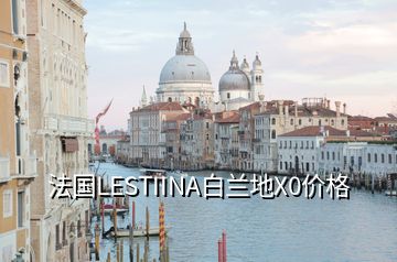 法国LESTIINA白兰地X0价格