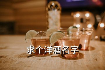 求个洋酒名字