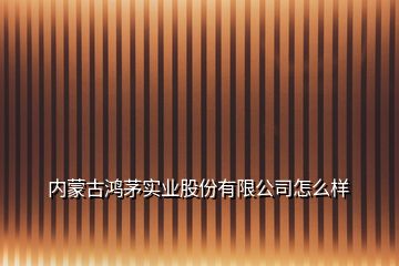 内蒙古鸿茅实业股份有限公司怎么样