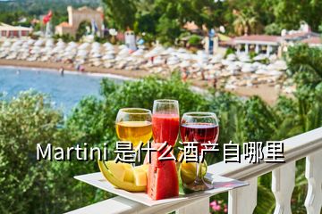 Martini 是什么酒产自哪里