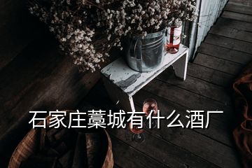 石家庄藁城有什么酒厂