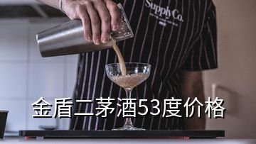 金盾二茅酒53度价格