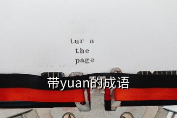 带yuan的成语