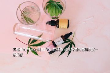 苏格兰的Whisky荷兰的Gin伏特加 这几种酒的酒精浓度一般的都