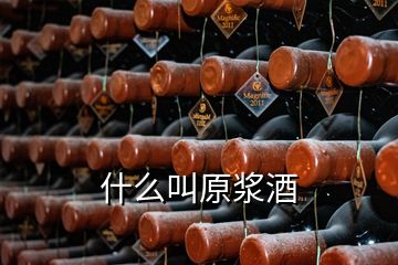 什么叫原浆酒