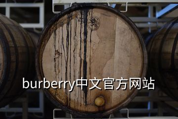 burberry中文官方网站