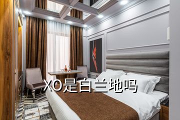 XO是白兰地吗