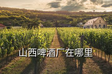 山西啤酒厂在哪里