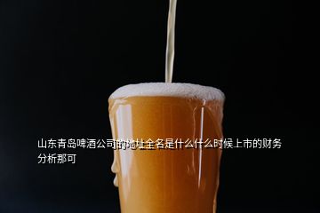 山东青岛啤酒公司的地址全名是什么什么时候上市的财务分析那可