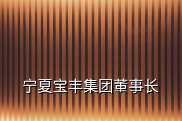 宁夏宝丰集团董事长