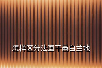 怎样区分法国干邑白兰地