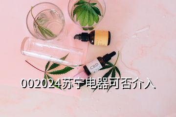 002024苏宁电器可否介入