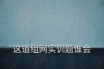 这道组网实训题谁会