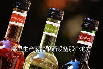 哪里生产家庭酿酒设备那个地方