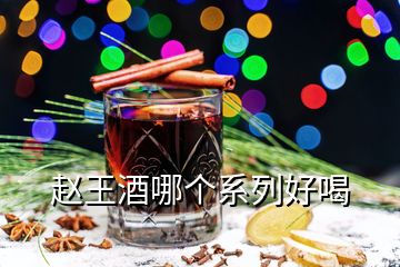 赵王酒哪个系列好喝