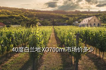 40度白兰地 XO700ml市场价多少