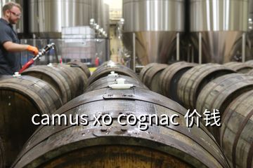 camus xo cognac 价钱